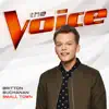 Small Town (The Voice Performance) - Single album lyrics, reviews, download