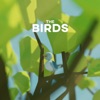 The Birds - Single