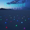 Fluorescent Blooms artwork