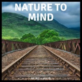 Nature to Mind - Relaxing Concentration Piano artwork
