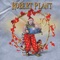 The Only Sound That Matters - Robert Plant lyrics