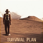 Survival Plan (feat. Samson) artwork