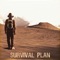 Survival Plan (feat. Samson) artwork
