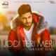 JODI TERI MERI cover art