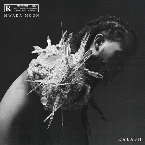 Mwaka Moon (feat. Damso) - Single - Kalash