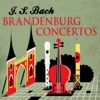 J. S. Bach Brandenburg Concertos