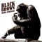 Black Brown - Akira Takasaki lyrics