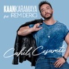 Cahil Cesareti (feat. İrem Derici) - Single