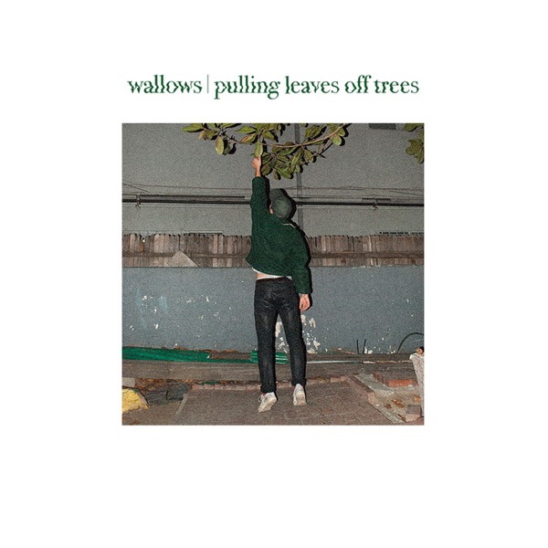 Wallows - Pulling Leaves off Trees