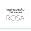 Rosa (feat. Camané) - Single album lyrics, reviews, download