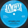 Untamed Love - Single