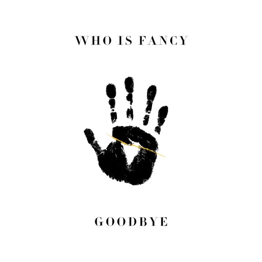 Art for Goodbye by Who Is Fancy