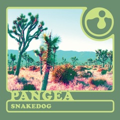 Snakedog - Single