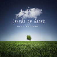 Walt Whitman - Leaves of Grass artwork