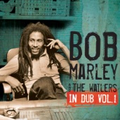 Bob Marley & The Wailers - Roots, Rock, Dub