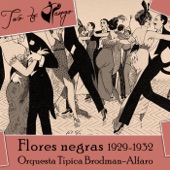 Flores Negras (1929-1932) artwork