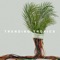 Silicone Love (feat. Ana Tijoux) - Trending Tropics lyrics
