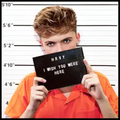 I Wish You Were Here - Single - HRVY