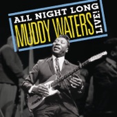 Muddy Waters - Country Boy