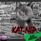 Desaparecidos - Katnip Band lyrics