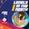 Lonely in the North (feat. Paul Damixie) - Single