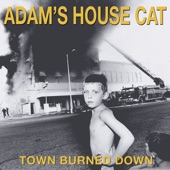 Adam's House Cat - Down on Me