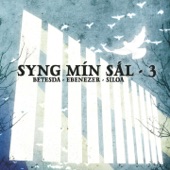 Syng Mín Sál 3 artwork