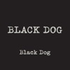 Black Dog, 2018