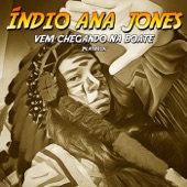 Índio Ana Jones: Vem Chegando na Boate (Playback) artwork