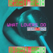 What Lovers Do (feat. SZA) [Slushii Remix] artwork