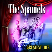 The Spaniels - Stormy Weather