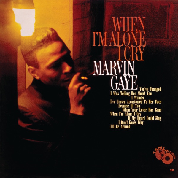 When I'm Alone I Cry - Marvin Gaye