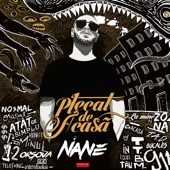 Plecat De Acasă artwork