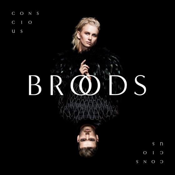 Cover artwork for Conscious