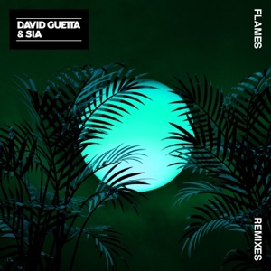 Flames (Remixes) - EP