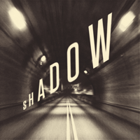 Little Barrie - Shadow artwork