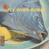 Hyroine - Fly Over Dubai