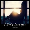 I Don't Love You - Single