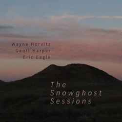 Wayne Horvitz - Apart from You #2