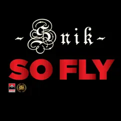 So Fly - Single by SNIK album reviews, ratings, credits