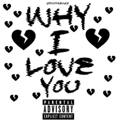 Why I Love You - Single by Genodaboss album reviews, ratings, credits