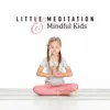 Little Meditation & Mindful Kids: Yogis in Preschool, Practice with Nature, Childrens of Zen, Spiritual School album lyrics, reviews, download