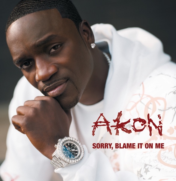 Akon - Sorry, Blame It On Me