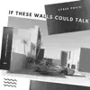 If These Walls Could Talk - Single album lyrics, reviews, download