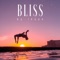 Bliss artwork