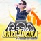 Solteiro Até Morrer - Farra Bregadeira lyrics