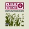 He Got Game (feat. Stephen Stills) - Public Enemy lyrics