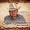 Voy a Convencerte (feat. Tigrillo Palma) - Edgar Gonzalez lyrics