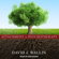 David J. Wallin - Attachment in Psychotherapy