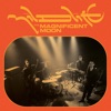 Mildlife - The Magnificent Moon